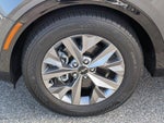 2023 Sportage Thumbnail 13