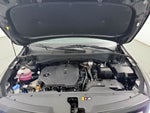2023 Sportage Thumbnail 23
