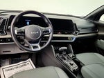 2023 Sportage Thumbnail 13