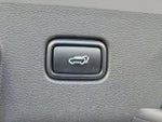 2023 Sportage Thumbnail 12