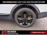 2025 Sportage Thumbnail 11