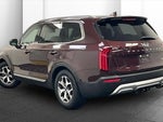 2020 Telluride Thumbnail 9