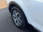 2020 Telluride Thumbnail 13