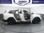 2020 Telluride Thumbnail 36