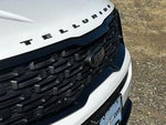 2021 Telluride Thumbnail 3