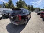 2022 Telluride Thumbnail 6