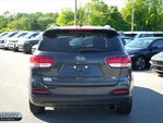 2017 Sorento Thumbnail 18