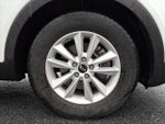 2019 Sorento Thumbnail 8