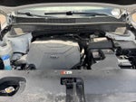 2019 Sorento Thumbnail 14