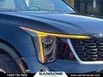 2025 Sorento Thumbnail 7