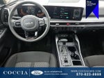 2025 Sorento Thumbnail 12