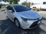 2025 Corolla Thumbnail 6