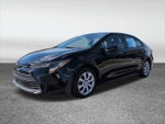 2024 Corolla Thumbnail 12