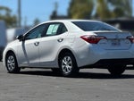 2014 Corolla Thumbnail 30