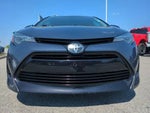 2019 Corolla Thumbnail 6