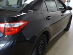 2014 Corolla Thumbnail 6