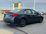 2019 Corolla Thumbnail 6