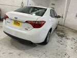 2019 Corolla Thumbnail 7
