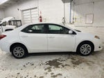 2019 Corolla Thumbnail 8