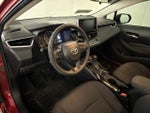 2020 Corolla Thumbnail 6