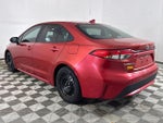 2020 Corolla Thumbnail 11