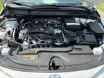 2025 Corolla Thumbnail 20