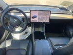 2019 Model 3 Thumbnail 17