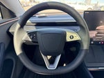 2025 Model 3 Thumbnail 16