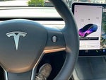 2021 Model 3 Thumbnail 12