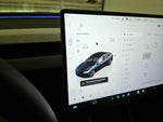 2025 Model 3 Thumbnail 17