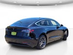 2019 Model 3 Thumbnail 7