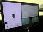 2019 Model 3 Thumbnail 13