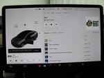 2021 Model 3 Thumbnail 8