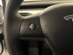 2021 Model 3 Thumbnail 17