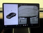 2019 Model 3 Thumbnail 14