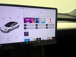 2021 Model 3 Thumbnail 15