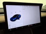 2021 Model 3 Thumbnail 16