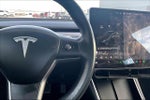 2019 Model 3 Thumbnail 13