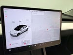 2022 Model 3 Thumbnail 13