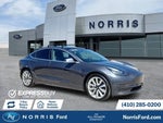 2019 Model 3 Thumbnail 1