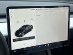 2021 Model 3 Thumbnail 16