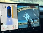 2025 Model 3 Thumbnail 12