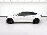 2023 Model 3 Thumbnail 19