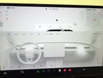 2025 Model 3 Thumbnail 15
