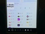 2020 Model X Thumbnail 11