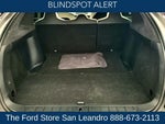 2020 Model X Thumbnail 11
