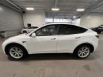 2021 Model Y Thumbnail 6