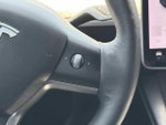 2021 Model Y Thumbnail 12
