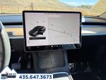 2021 Model Y Thumbnail 17