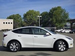 2021 Model Y Thumbnail 3